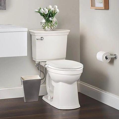 No Fuss Non Electric Elongated Bidet Toilet Seat With Dual Wash Arms and Adjustable Water Pressure in a bathroom setting.
