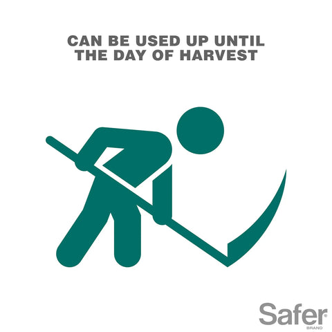Icon of a person harvesting with text 'Can be used up until the day of harvest'. Insect Killing Soap Concentrate For Plants Insecticidal Soap.