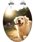 Elongated Toilet Seat Quiet Close Hinges Bathroom featuring a golden retriever with a stick, sunlit background.