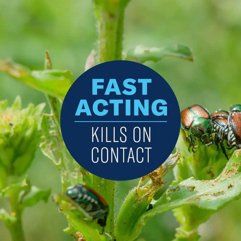 Fast-acting label on plant with insects, highlighting Concentrated Vegetable and Garden Insect Spray For Quick Knockdown Of Aphids, Caterpillars