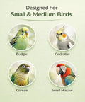 Image of small and medium birds: Budgie, Cockatiel, Conure, Small Macaw for Bird Harness Leash For Parrots With Anti Bite Outdoor Flying Training Rope Extends Up To 197 Inches Includes Five Soft Foot Loops In Various Sizes And Dope Training Whistle Upgraded Ankle Ring For Gentle Comfort And Easy Safe Flight Training