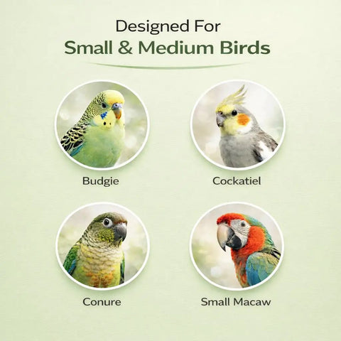 Image of small and medium birds: Budgie, Cockatiel, Conure, Small Macaw for Bird Harness Leash For Parrots With Anti Bite Outdoor Flying Training Rope Extends Up To 197 Inches Includes Five Soft Foot Loops In Various Sizes And Dope Training Whistle Upgraded Ankle Ring For Gentle Comfort And Easy Safe Flight Training