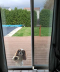 Sliding door showcasing a view of a deck and garden with a dog outside, example setting for Sliding Door Lock For Glass And Patio Doors.