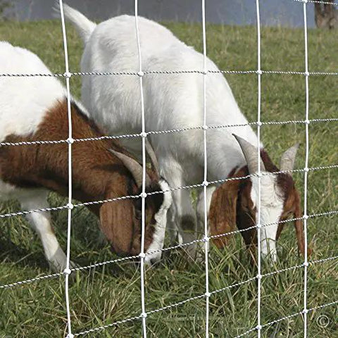 Top Shelf Electric Netting Fence Kit 100 Foot By 42 Inch Double Spike Portable E Fencing For Sheep Goats with grazing goats