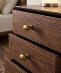 Oval Antique Brass Cabinet Knobs Set 1.6 Inch Zinc Alloy Drawer Knobs for Dresser on wooden drawers, vintage vibe finish.