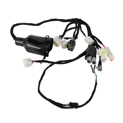 Plug And Play Full Main Wiring Harness Assembly For Sur Ron Light Bee X160 X260 Off Road Electric Dirt Bike Durable Copper Conductors Easy Install Direct Fit Replacement