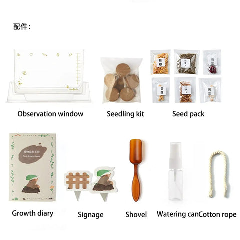 Kid Friendly Plant Growth Kit With Transparent Window For Window Garden See Roots Grow Vegetable Plant Observation Box Educational Science Toy For Homeschool And Classrooms Ages 6 And Up, with seeds and tools