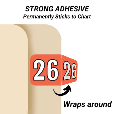 2026 Year Labels For End Tab File Folders Coral And Black Color Coded Colwell Jewel Tone Style USA Made 500 Roll