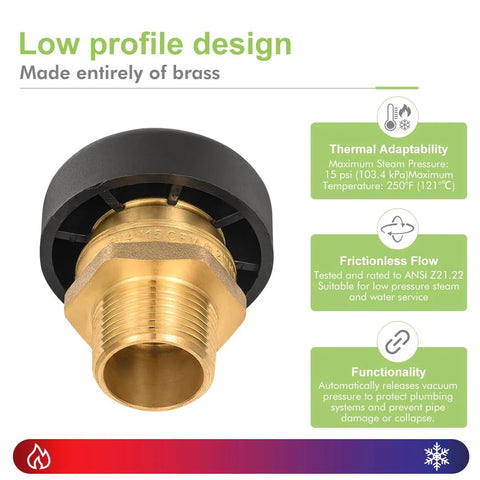 Front view of brass 3/4 in vacuum relief valve with dust cover and threaded connection