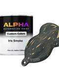 Pro Shop Smoke Paint Basecoat Gallon 128oz with dark Iris Smoke sample for automotive refinishing.