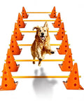 Golden retriever jumping over yellow rungs with orange cones in dog agility training equipment obstacle course with adjustable ladder