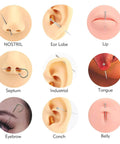 Variety of piercings using 4Pcs Piercing Taper Set For No Fuss Easy Jewelry Changes 14G 16G 18G 20G Threadless Insertion Tools