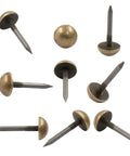 Premium Antiqued Brass Upholstery Tacks 24 Piece Set Heavy Duty Furniture Nail Heads, half-inch round with pointed shaft.