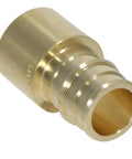 Close-up of brass PEX A to 3/4 inch female sweat adapter for potable water and hydronic heating F1960 expansion fitting.