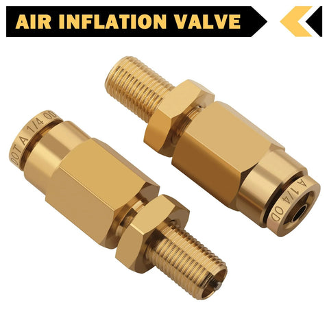 Two brass 1/4" Schrader inflation valves with push-to-connect fittings for 1/4" OD air line tubing.