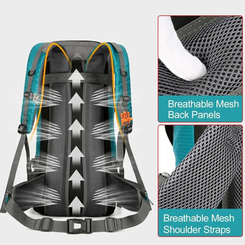 Back view of 70L Hiking And Camping Backpack For Outdoor Adventures with breathable back panel and mesh shoulder straps