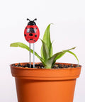 3 In 1 Ladybug Soil Tester Kit for Garden and Lawn checking soil in a potted plant