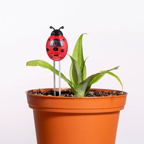 3 In 1 Ladybug Soil Tester Kit for Garden and Lawn checking soil in a potted plant