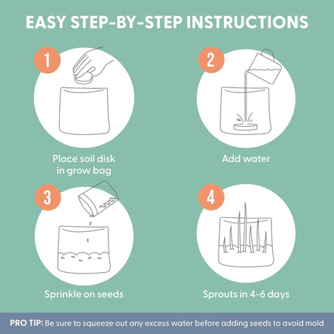 Diagram showing 4-step instructions for Organic Cat Grass Kit For Indoor Cats with Grow Bags, Seeds and Soil, Hairball Control.