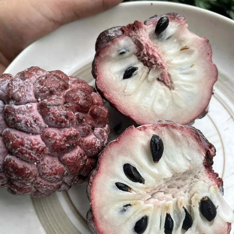 Red Sugar Apple Tree For Home Garden, Tropical Fruit Tree, 2 To 3 Ft Tall In A 3 Gallon Pot, No Fuss Grow Backyard Fruit Plant For Fresh Home Harvest With Easy Care, cut fruit on plate