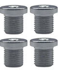 4 Pack M10 x P1.0 Rear Derailleur Hanger Bolts Made From Aluminum Alloy For Bike Frame Repair DIY Friendly, 13.8mm Length, 5mm Hex Socket
