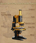 Retro Microscope Building Kit With Antique Brass Finish For Adults Dope DIY Science Toy Realistic Brass Details Hands On STEM Project Educational Desk Decor For Makers And Curious Minds, labeled parts view