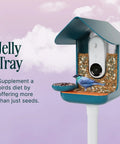 3 In 1 Bird Nutrition Kit With Water Fountain, Fruit Spike And Jelly Tray Feeder for Outdoor Bird Watching attached to birdhouse