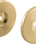 Polished brass discs from Slide Bar Trim For Shower Systems Fits K-8524 And K-9069 Slidebars, Slick Bathroom Fixture Upgrade