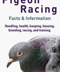 Cover of Racing Pigeons Guide To Handling, Health, Housing, Breeding, Training, And Racing: Real World Tips For Home Fliers