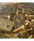 Close-up of 10 Pack Gold Door Hinges For Cabinets 4 Hole Heavy Duty Iron Hardware with screws for easy installation.