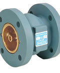3 Inch Lead Free Cast Iron Check Valve Packed With Flanged Wafer Design and Spring Actuated Quiet Closing Mechanism Built Tough Bronze Internals