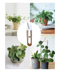 3 Pack 4.1 Inch Bonsai Pruning Scissors With Sharp Blade And Self Opening Spring displayed with potted plants background
