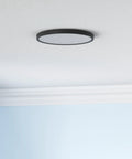 Sleek 3 Color Dimmable Flush Mount LED Ceiling Light With Remote 12 Inch 24W Black Ceiling Fixture installed on ceiling