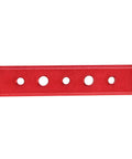 Cut Like Butter 100Mm T Slot Miter Track With Holes Aluminum Alloy in red color, featuring pre-drilled holes for easy mounting.