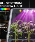 All In One Seed Starter Kit With Grow Light illuminating seedlings under a clear dome with full spectrum LED light