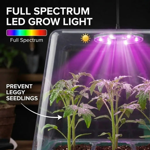 All In One Seed Starter Kit With Grow Light illuminating seedlings under a clear dome with full spectrum LED light