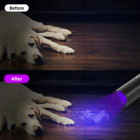 Before and after pet urine detection with 4 Pack Rechargeable UV Blacklight Flashlights 365nm And 395nm Mini LED Handheld Torches