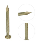 Close-up of 200 Pcs Antique Round Head Brass Copper Mini Nails for furniture, hinges, and craft projects, showing pointed tip and round head.