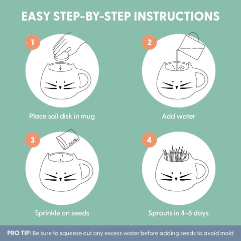 Organic Cat Grass Growing Kit For Indoor Cats With Premium Seed Mix, showing step-by-step planting instructions with cat mug planter.