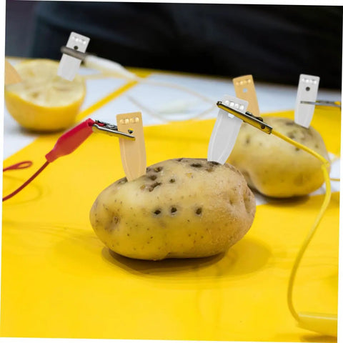 Hands On Fruit Battery Science Kit With Nickel Strips And Electromagnet Parts, potato with copper and zinc strips for DIY experiment