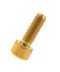 Titanium Alloy M6x16 18 20 25 30 35mm Hex Head Bike Stem Bolts with Washer for MTB and Road Bikes, gold finish, single bolt view
