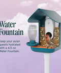 3 In 1 Bird Nutrition Kit With Water Fountain, Fruit Spike And Jelly Tray Feeder For Outdoor Bird Watching installed on birdhouse