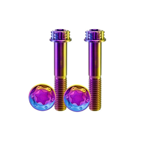 Pack Of 4 Grade 5 Titanium Torx Bolts M10 X 1.25 Pitch Brake Caliper Screws Dual Drive Flange Head in rainbow finish.