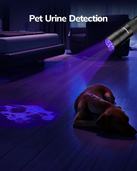 Four Pack UV Blacklight Flashlights With Twelve LED 395nm Ultraviolet Detectors illuminating pet urine stains on floor.
