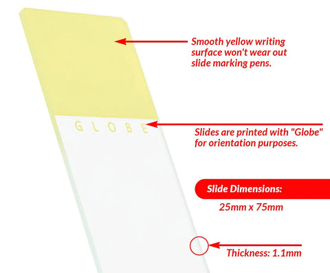 Glass Microscope Slide 25 X 75mm With Ground Edges And Safety Corners Yellow Frosted Label End 1.1mm Thick Soda-Lime Glass Washed Rinsed Dried Ready For Immediate Use Case Of 1,440. Yellow labeled 25 x 75 mm slide with frosted writing end and 1.1 mm thickness