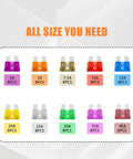 Heavy Duty Automotive Blade Fuses Assortment Kit With Puller 3 To 40 Amp Set display of 180 mini blade fuses in various amperages.