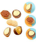 Assorted resin nuts from 20 Pcs Resin Mini Food Toys Nuts Set for Dollhouse DIY Crafts, featuring realistic peanuts and nut decor.