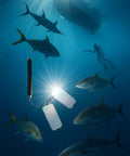 Throw Flashers For Spearfishing Pelagic Targets Like Wahoo And Kingfish Plus Reef Fish Tuna And Mackerel in underwater scene