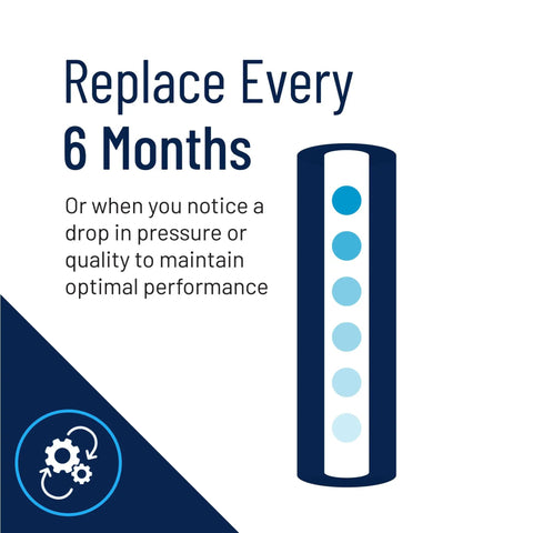Replace Big Blue 20 Inch Whole House Sediment Filter Cartridge every 6 months for optimal performance illustration.