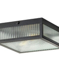 Black Two Light 11 Inch Flush Mount Ceiling Fixture With Vintage Industrial Flair Retro Vibe Modern Farmhouse Glow